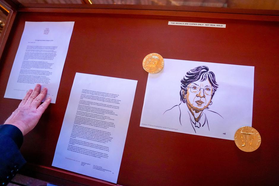 An illustration of Peace Prize laureate Navanethem "Navi" Pillay after the announcement of the Nobel Peace Prize for 2026, in Oslo | Author: Javad Parsa