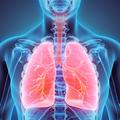 Prikaz pluća u organizmu