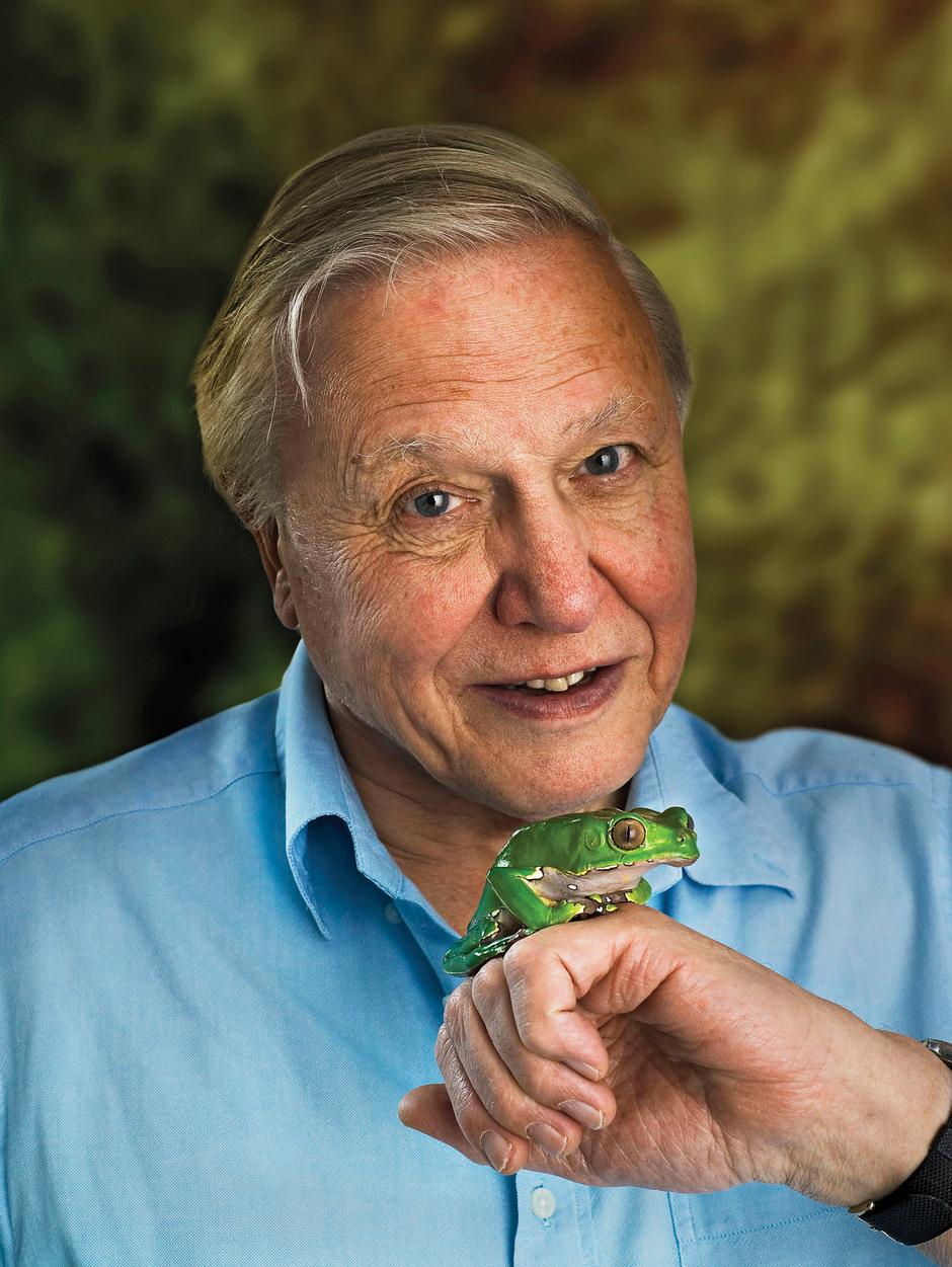 David Attenborough | Author:  Johann Edwin Heupel
