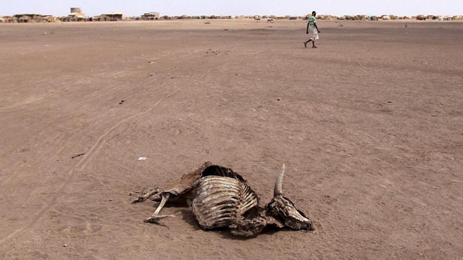 Ubojita suša i glad u Etiopiji 2016. uslijed klimatskih promjena | Author: Tiksa Negeri/ Reuters/ Pixsell