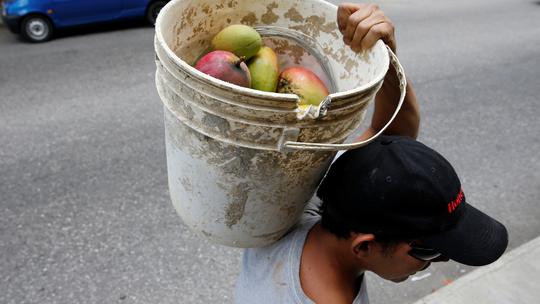 Voće u Venezueli