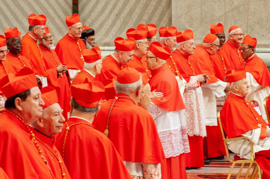 Kardinali u Vatikanu | Author: MASSIMILIANO MIGLIORATO/IPA/PIXSELL