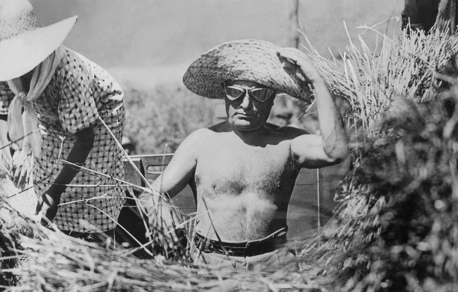 Benito Mussolini during the harvest, 1935 | Author: 