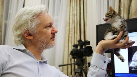 Julian Assange sa svojim kućnim ljubimcem u Veleposlanstvu Ekvadora gdje je zaštićen azilom