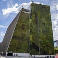 Vertical greening in Medellín