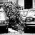 Rijeka: Eksplozija bombe pred zgradom MUP-a 20. listopada 1995. godine