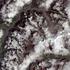 Satellite image shows collapsed glacier that may have been trigger for deadly flash floods in Nepal