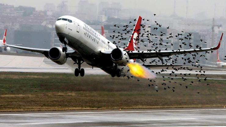 Avion pri uzlijetanju uletio u jato ptica