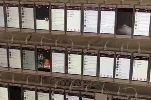 Tisuće mobitela na klik farmi