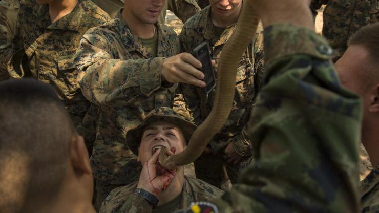 Američki marinci piju krv kobrama