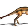 Alvarezsaurus (maniraptor)