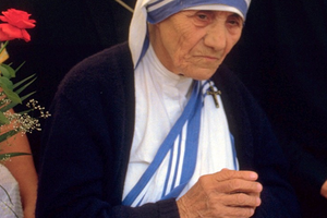 Majka Tereza