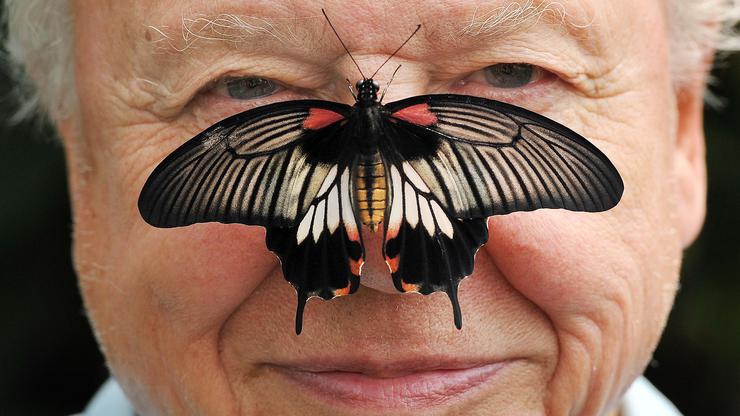 Sir David Attenborough 100th birthday