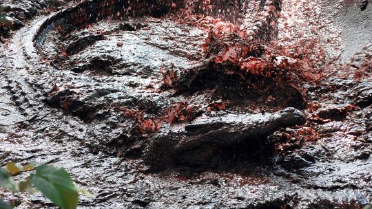 Krokodil