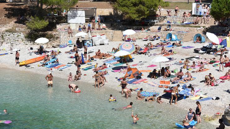 Meduze prijete plažama na Jadranu 2016.