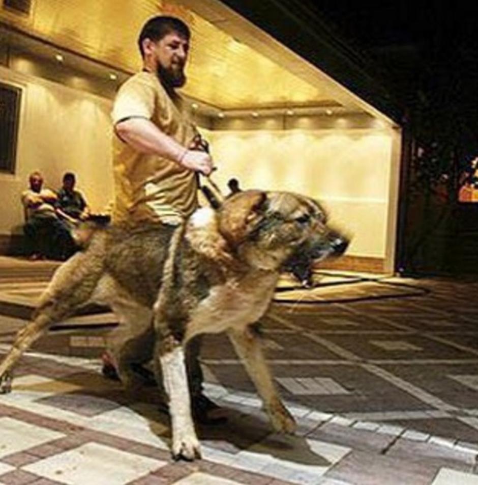 Ramzan Kadirov sa psom | Author: Instagram