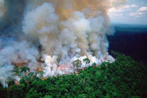 Lažne fotografije amazonske prašume
