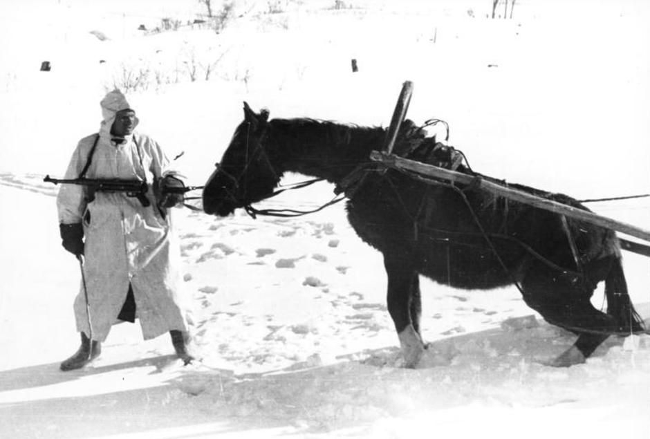 Sovjetski vojnik s konjem | Author: Bundesarchiv, Bild 101I-215-0366-03A / Geller / CC-BY-SA 3.0