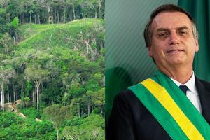 Amazona i Jair Bolsonaro