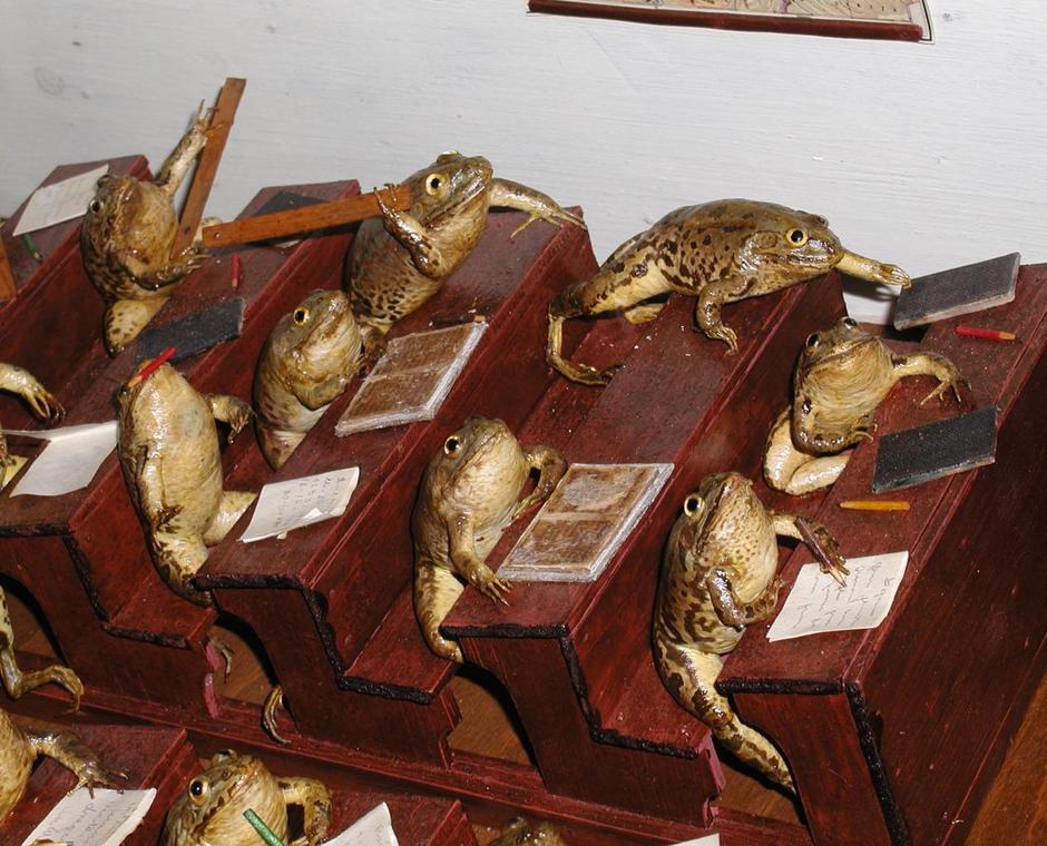 Kolekcija prepariranih žaba Ivana Medvešeka | Author: Ivo Cagalj (PIXSELL)