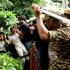 India's Cockroach Janta Party to march on parliament in New Delhi