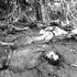 Masakr u El Mozote