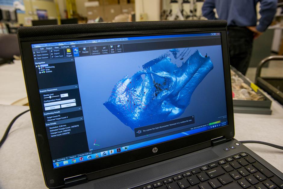 Računalni prikaz skeniranih kostiju | Author: Dennis Wise/University of Washington