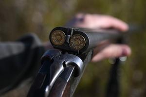 Russia Hunting Supervision