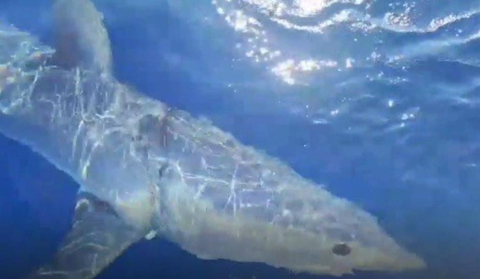  | Author: 24sata/Screenshot