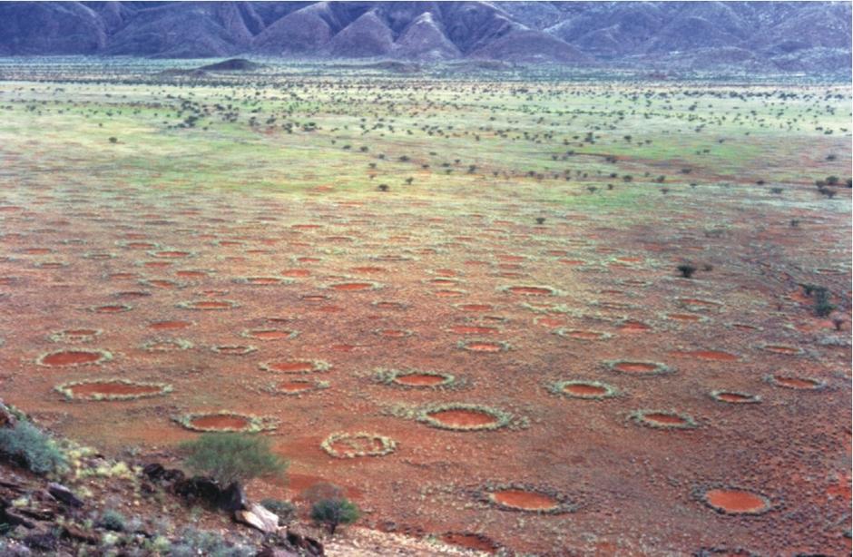 Vilinski krugovi u Namibijskoj pustinji | Author: Wikipedia