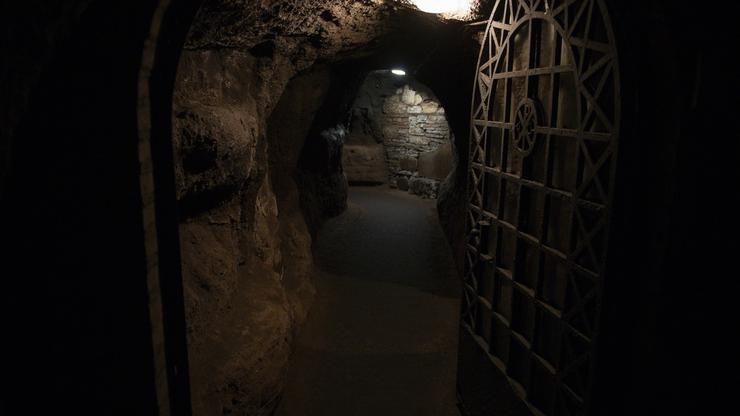 ITALY -PILGRIMAGES OF BISHOPS PARTECIPATING IN THE SYNOD  - 2023/10/12