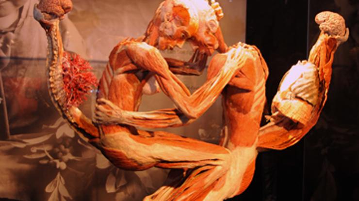 Anatomija ljudskih tijela, izložba "Bodies"