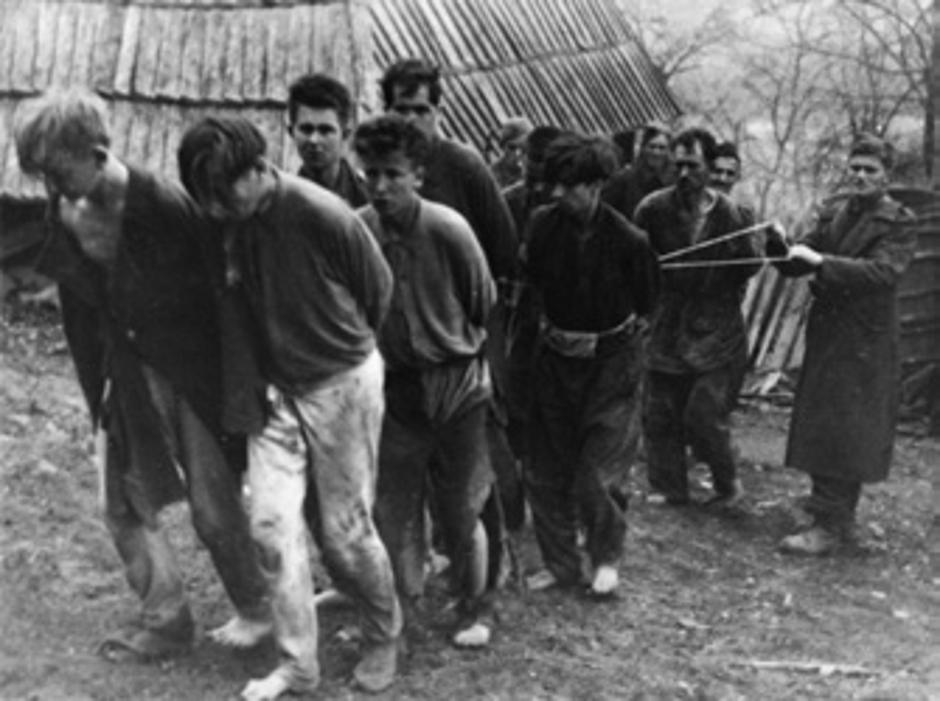 Partizani sa zarobljenim SS-ovcima | Author: Historijski muzej Bosne i Hercegovine FNOB