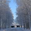 Sibirska šuma
