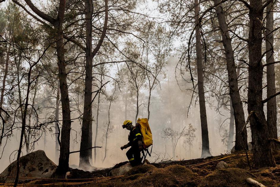 Veliki požar bjesni u šumi Fontainebleau blizu Pariza