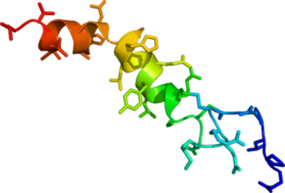 Kratki peptidni lanac koji čini hormon oreksin | Author: Pinterest