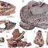 Dvonoga prazmija Najash, fosili stari 100 milijuna godina
