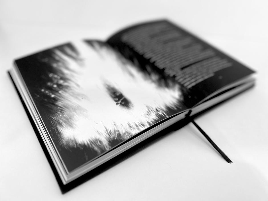  | Author: Mitopeja/Promo