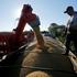 FILE PHOTO: Soybean harvest in Paraguay
