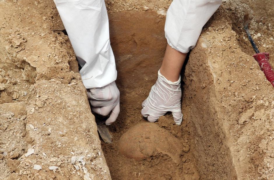 Vaćani: Arheolozi uzimaju uzorke kostiju za slanje na DNA analizu u Veliku Britaniju | Author: Duško Jaramaz/Pixsell