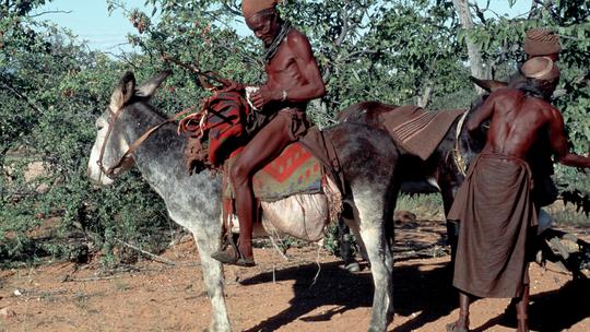 Narod Himba iz Namibije