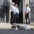 Westminster Scenes