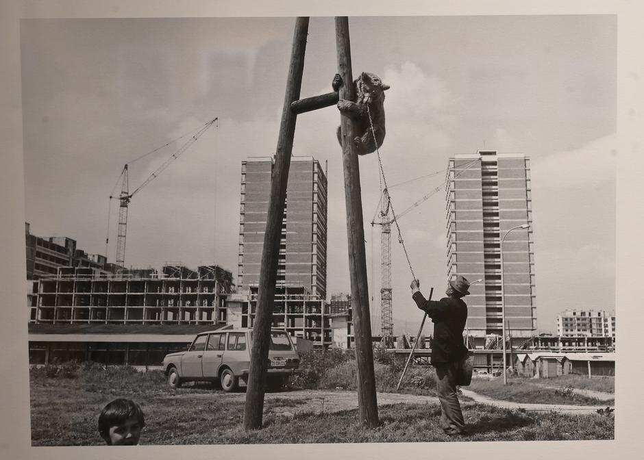  | Author: ŽELJKO KRČADINAC/presnimka Pixsell