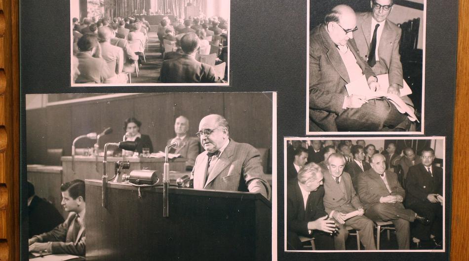 'Hrvatski i srpski, &scaron;to svatko znade, pa tako i svaki idiot, jedan su jezik!'