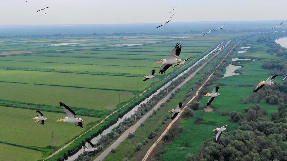  | Author: Wikimedia Commons