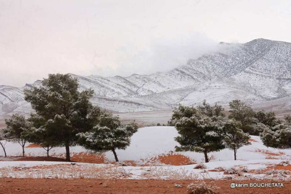 Snijeg u Alžiru | Author: Karim Bouchetata