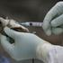 Wild Mice Test Positive for Hantavirus in San Diego