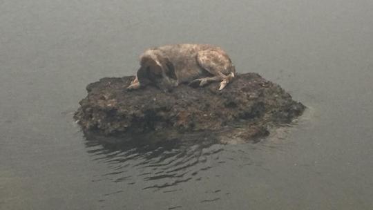 Požar u Ateni, na plaži Kokkino Limanaki Rafina