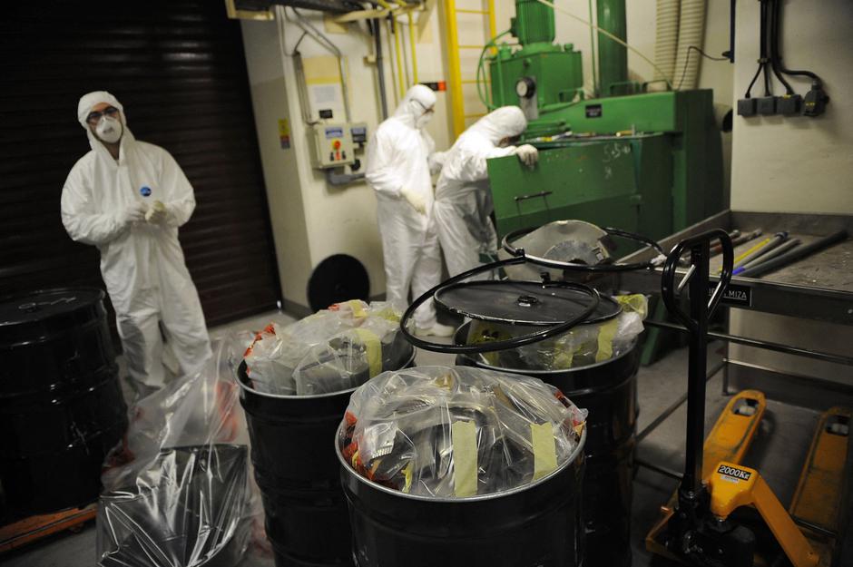 25688332 | Author: Profimedia