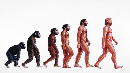 Evolucija